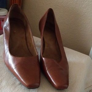 Lovely Brown kitten heal